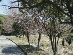 -通略驾校(新村路店)