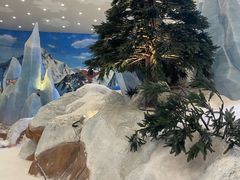 -长沙湘江欢乐雪域