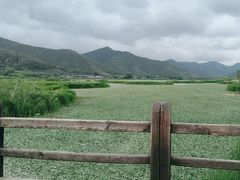 -泸沽湖国家级风景名胜区走婚桥