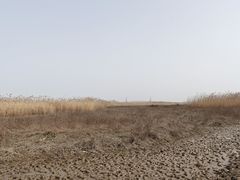 -双山岛