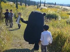 -水墨澜渟足道·SPA·传统(四望亭东关街店)