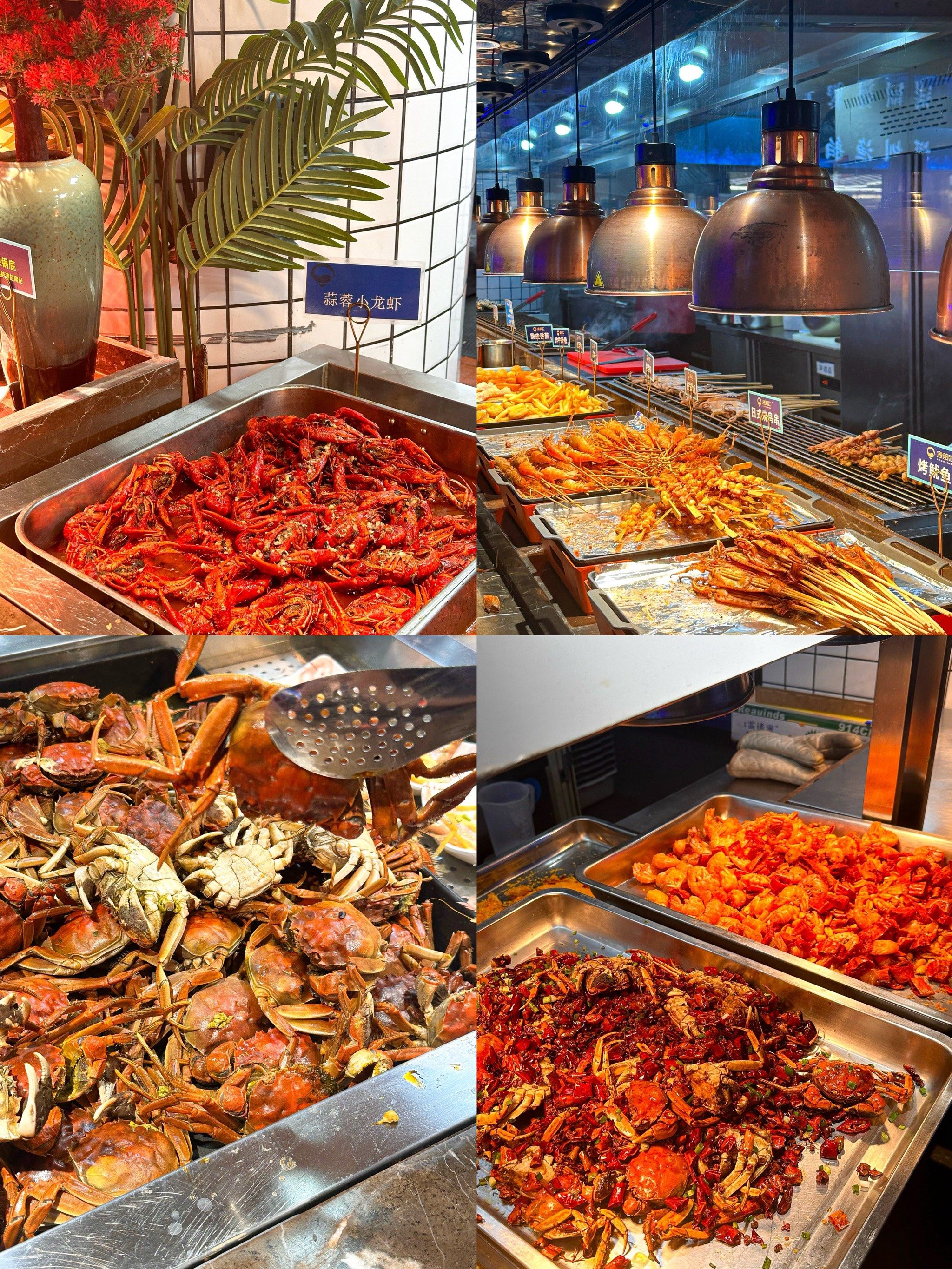 带着512g的胃来吃这家现捞蒸汽海鲜自助75