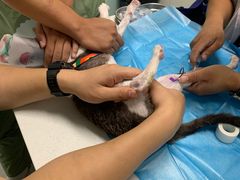 -达爱动物医院·犬猫分区·CT·复杂眼科(远洋山水分院)