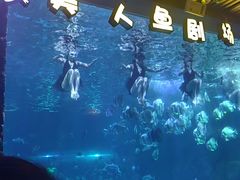 -锦艺城海洋馆