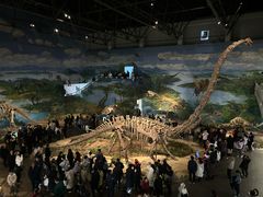 -自贡恐龙博物馆