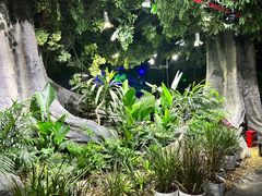 -江和美海洋公园