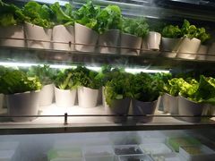 -哆来咪火锅烤肉自助(牌楼店)