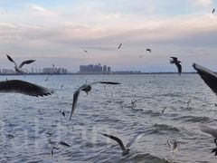 -滇池海埂公园