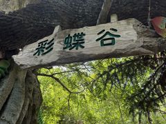 -天目湖山水园