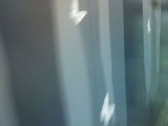 -汉中路(地铁站)