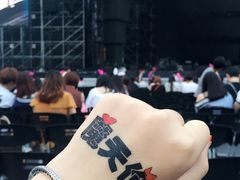 -南京奥林匹克体育中心-体育馆