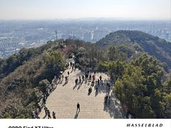 -杭州半山国家森林公园