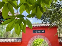 -洛阳白马寺