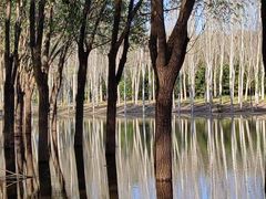 -东郊湿地公园