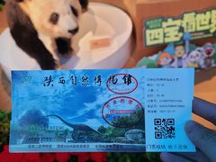 -陕西自然博物馆