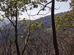 -东山风景区(洞庭东山)
