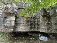 -梭布垭石林景区