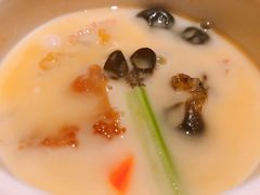 金汤鲜汁泡上素-三号黄浦会Canton Table