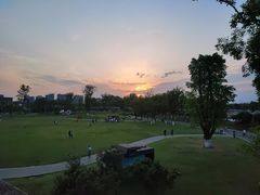 -府河摄影公园