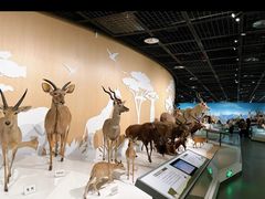 -陕西自然博物馆