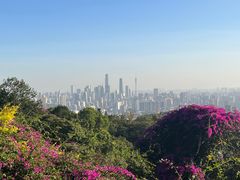 -广州市白云山风景名胜区