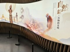 -四川大学博物馆