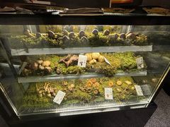 -滇野云南野生菌餐厅(陕西南路店)