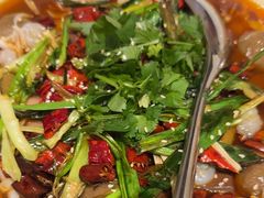 -新吉士·上海菜(浦东LCM置汇旭辉店)