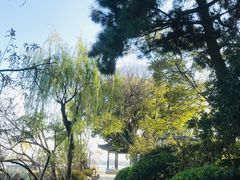 -无锡蠡湖国家湿地公园-蠡园