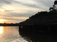 -东寨港红树林旅游区