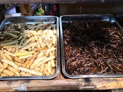 -昆虫窝子·特色云南菜(拓东路总店)