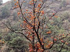 -北京金海湖景区