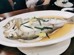 清蒸白鱼-观桥阁(锦溪店)