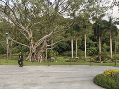 -云溪植物园