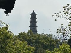 -江心屿景区