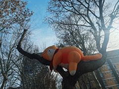 -西安电影制片厂