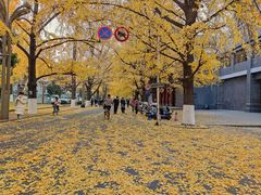 -四川大学(华西校区)