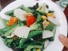 -邵年鸽(杨庄店)