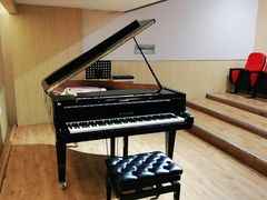 -柏斯琴行(汾阳店)