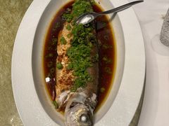 -上海总会SHANGHAICLUB(兴业太古汇店)