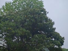 -汉长安城未央宫国家考古遗址公园