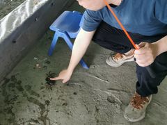 -会江钓鱼钓虾烧烤场