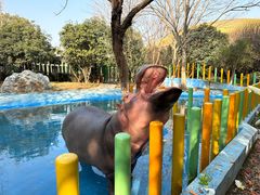 -常州淹城野生动物世界