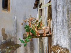 -石潭村