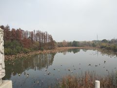 -东湖落雁景区