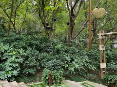 -天目湖山水园