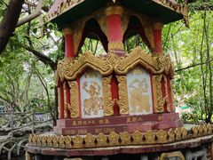 -瑞丽独树成林风景区