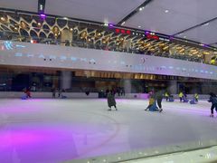 -TheRink大零溜冰场(IFS国金中心店)