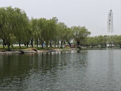 -白洋淀景区