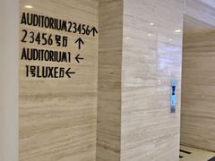 -大光明电影院(南京西路店)
